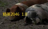精英2046  1.0