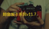 鲸鱼发卡系统v11.71无授权版发卡网源码完整包发布