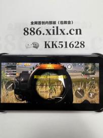 黄鹂鸟辅助器暗区突围-深入探究！暗区突围黄鹂鸟辅助器危害及应对办法